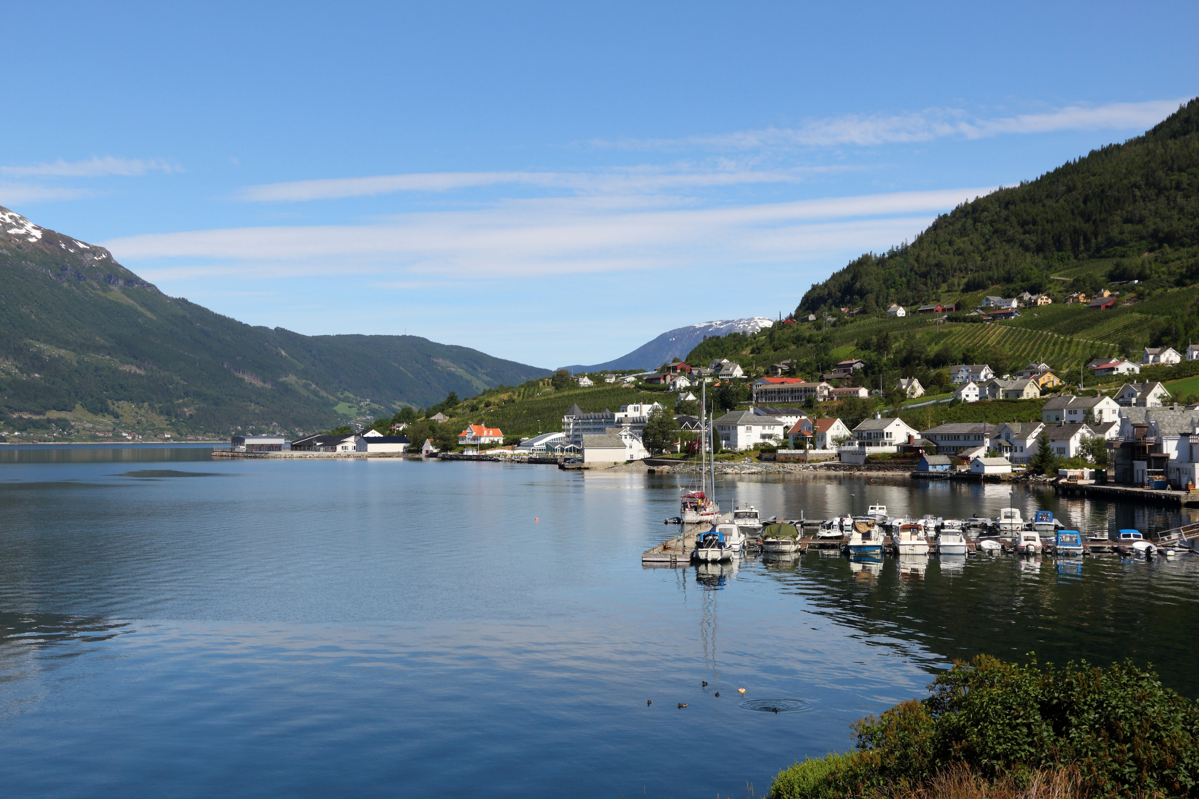 Ullensvang 03.webp